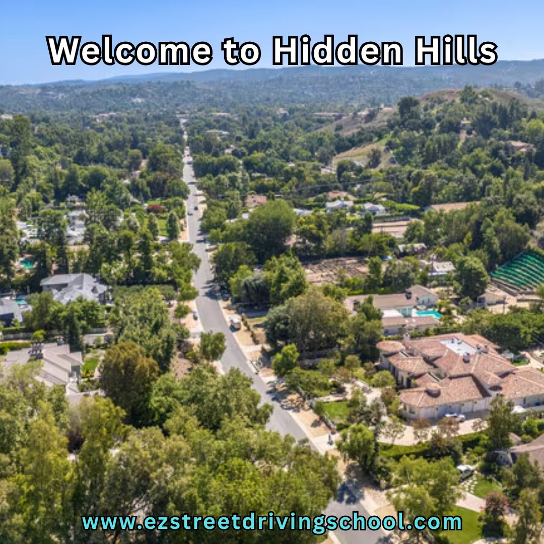 Driving Lessons in Hidden Hills